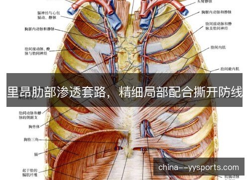 里昂肋部渗透套路，精细局部配合撕开防线
